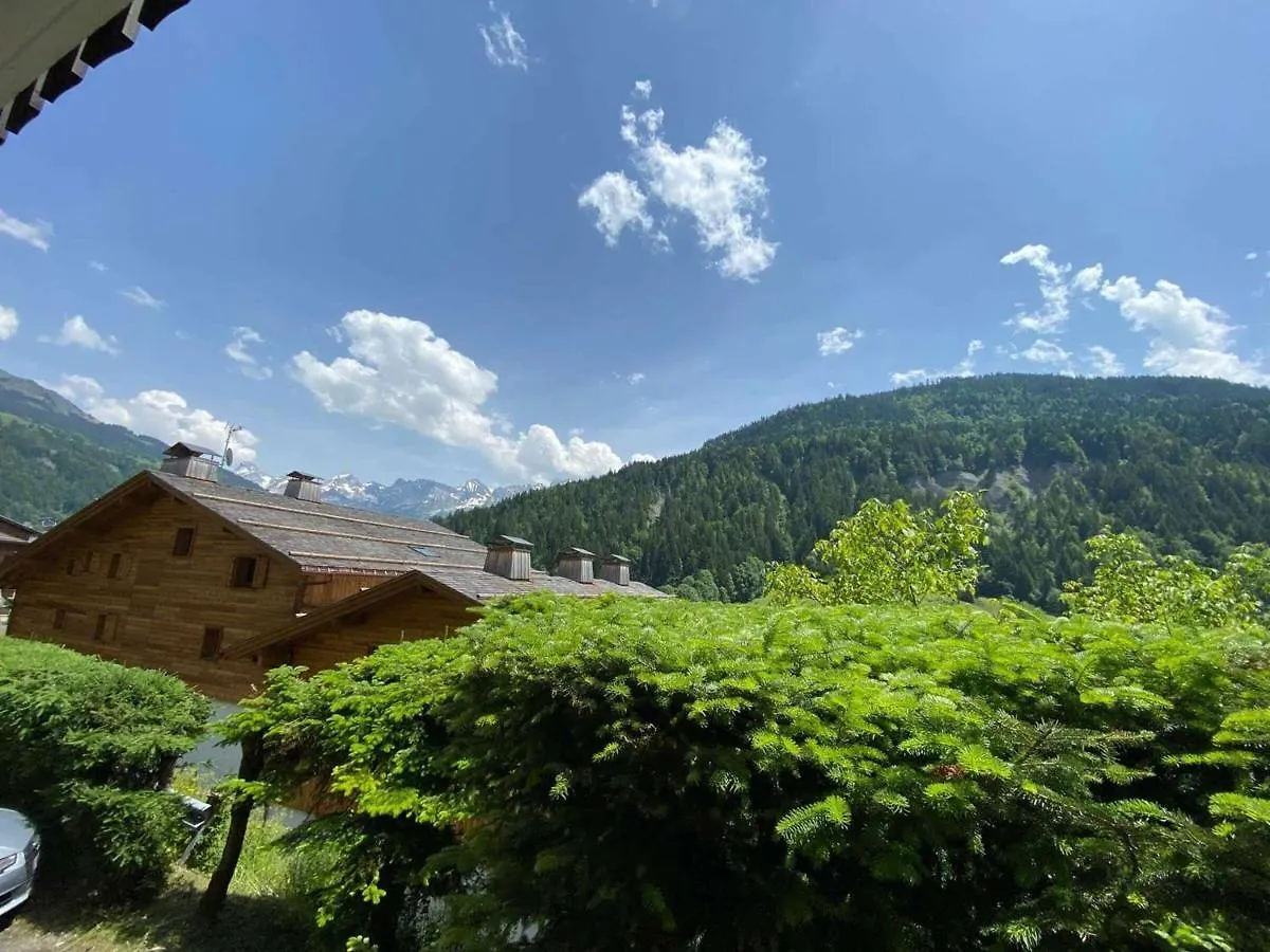 Studio Confortable - 4 Pers, Parking, Animaux Acceptes - Fr-1-241-97 Le Grand-Bornand 0*,
