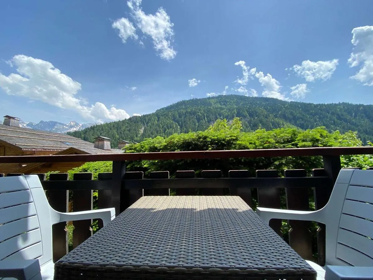 Apartment Studio Confortable - 4 Pers, Parking, Animaux Acceptes - Fr-1-241-97 Le Grand-Bornand France
