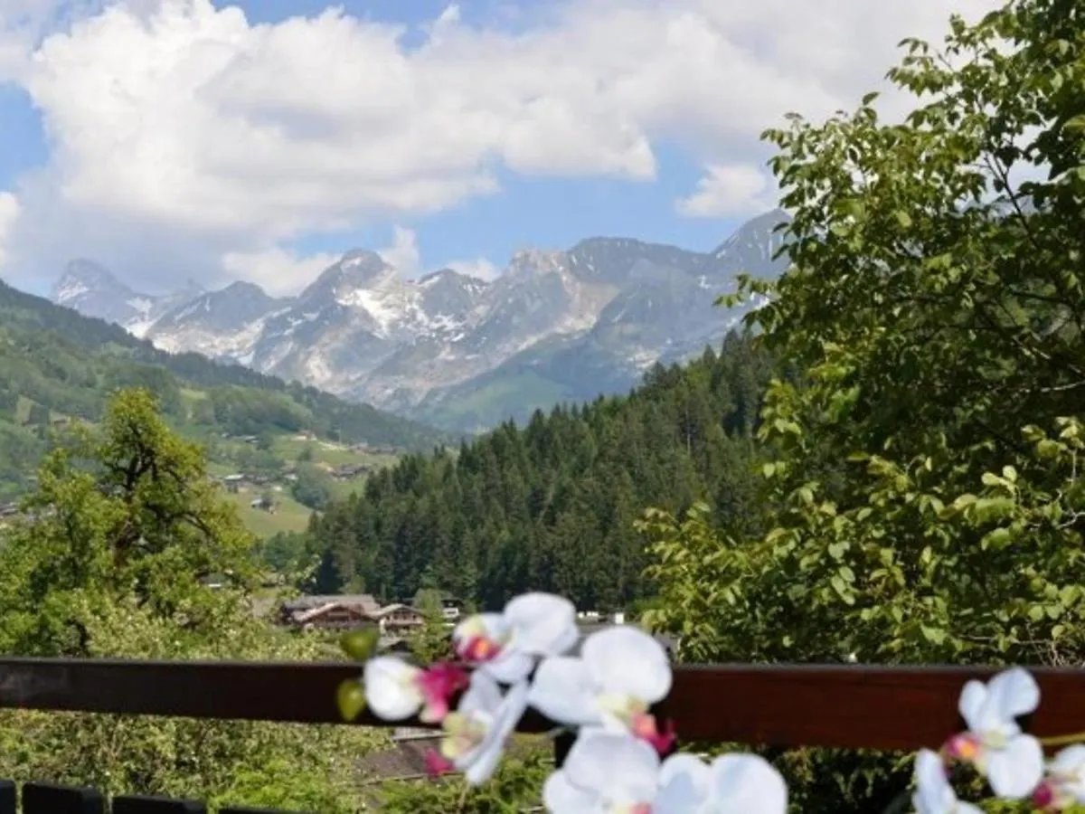 Apartment Studio Confortable - 4 Pers, Parking, Animaux Acceptes - Fr-1-241-97 Le Grand-Bornand